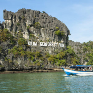 2-Hour Mangrove Tour